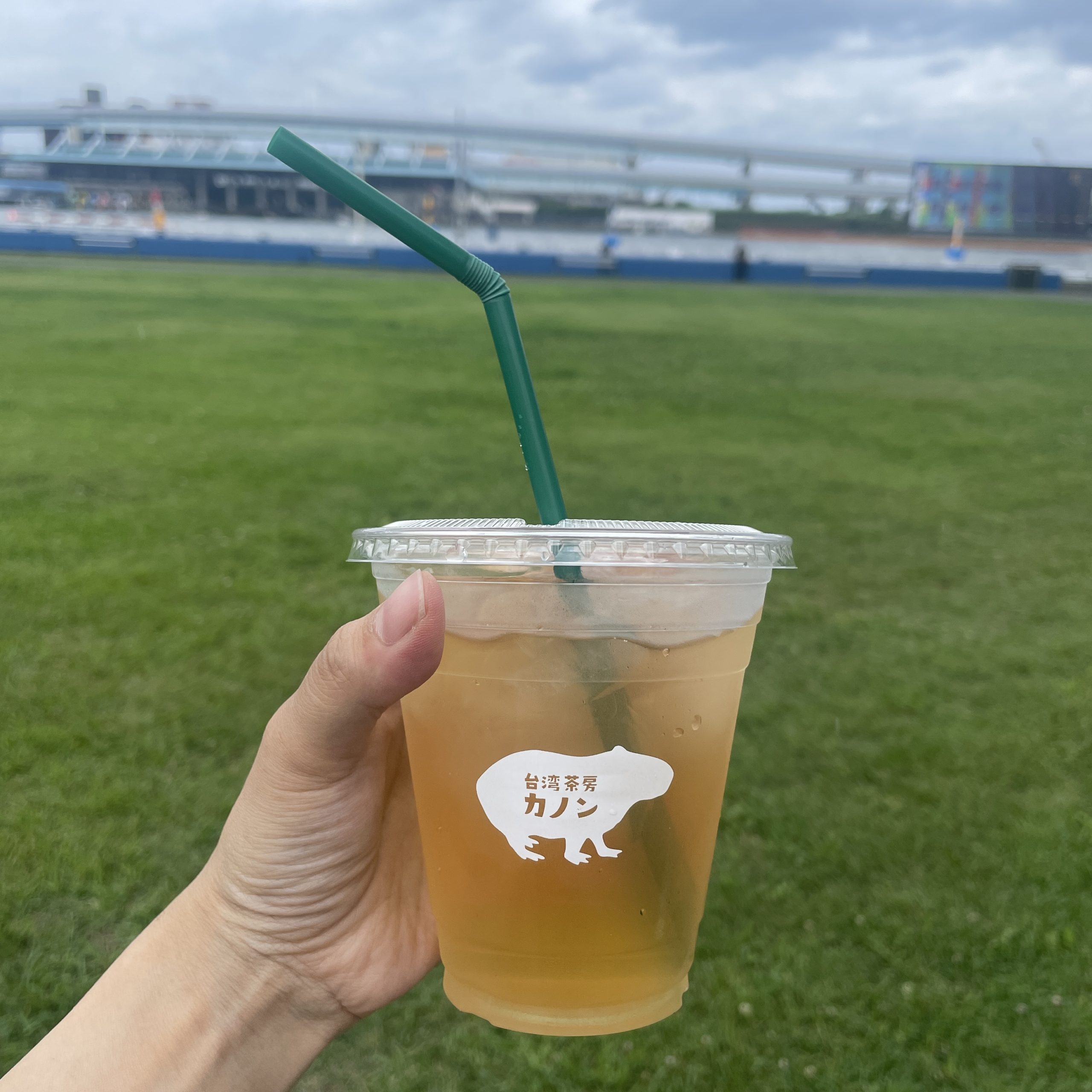 ジャスミン茶でホルモンバランスを整える